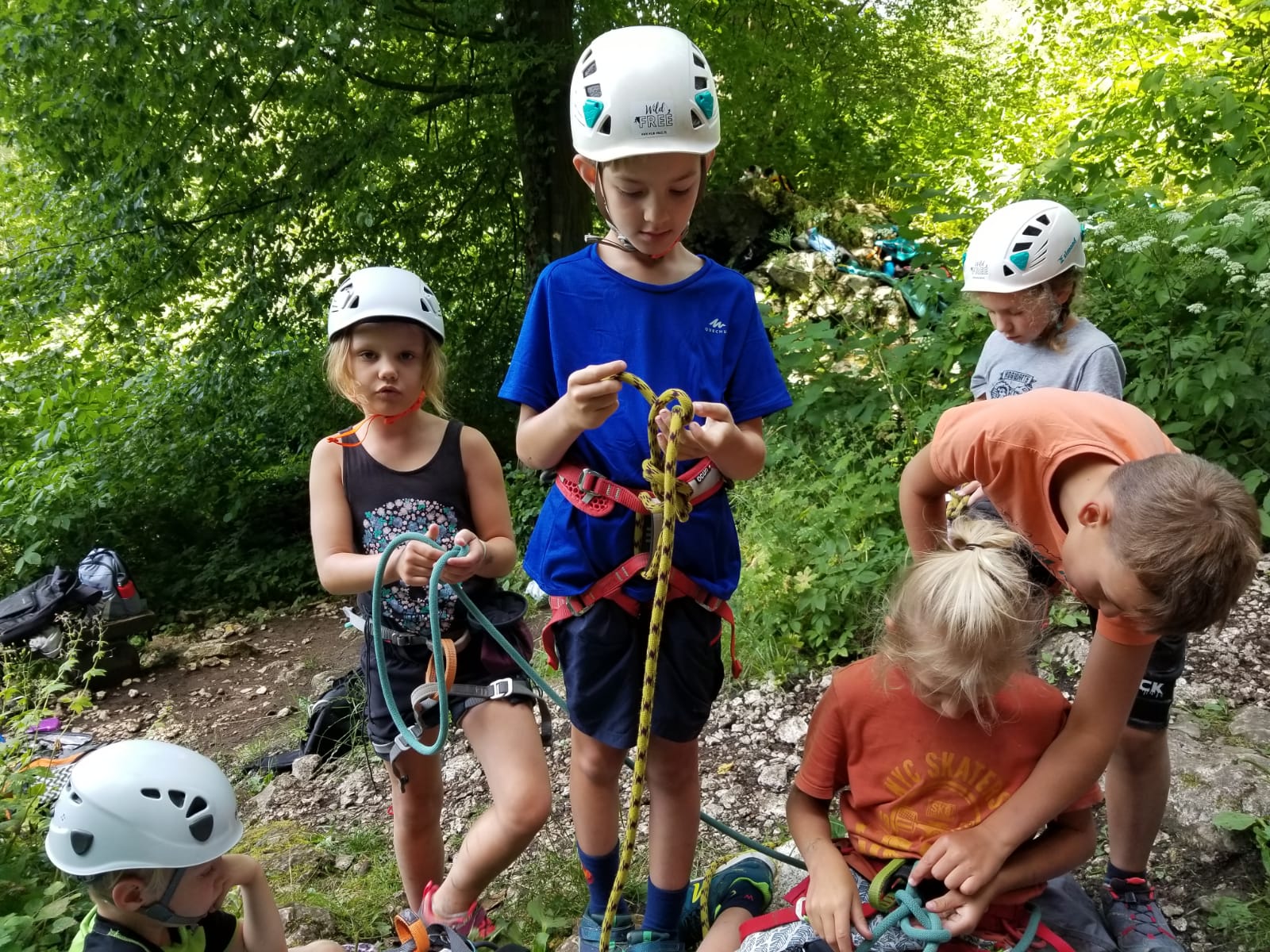 a431d02a-c43b-4f8a-94f5-9321b846c657