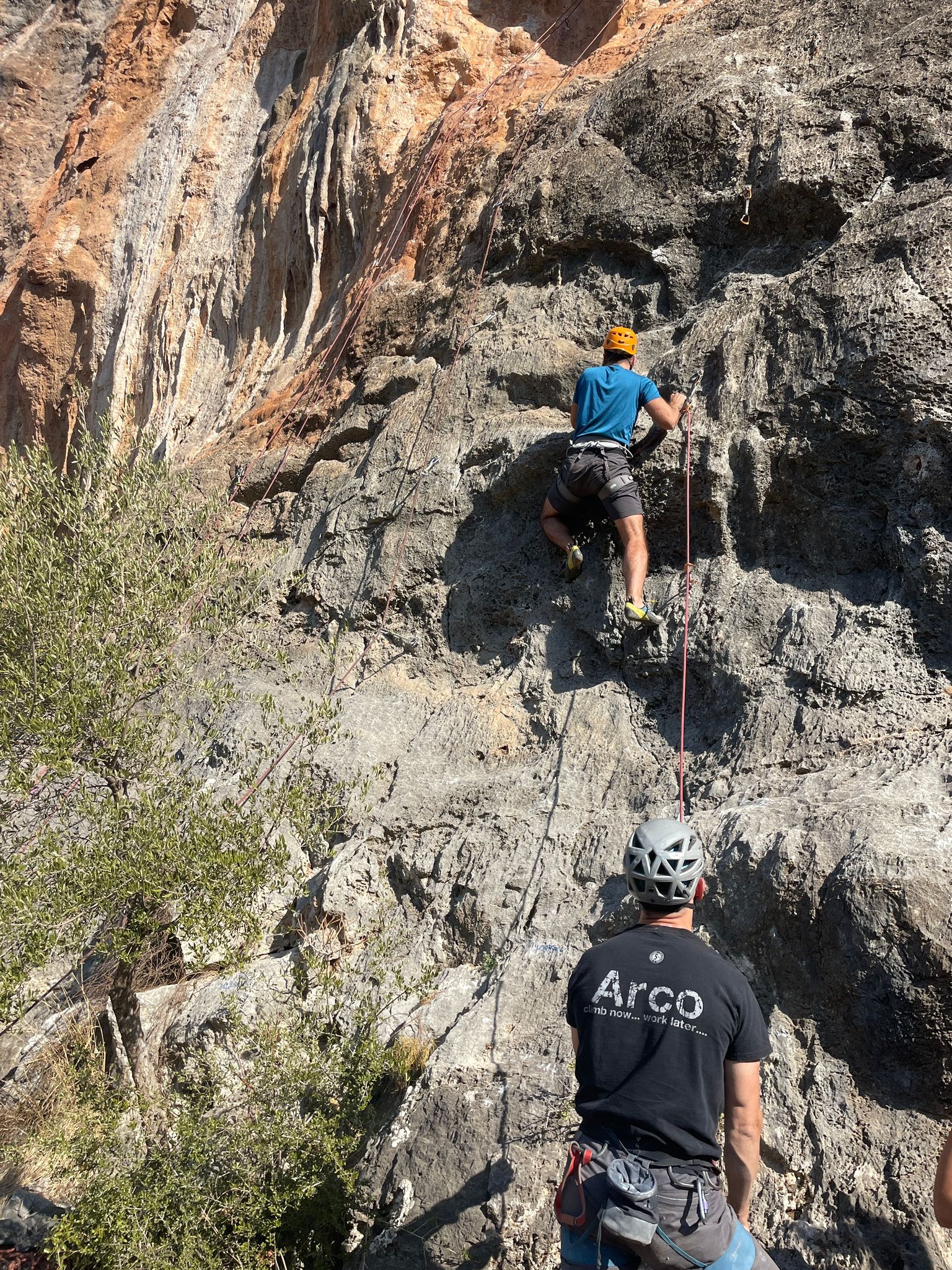 defed1e5-d690-4faf-a2f4-6cf3498b7aff