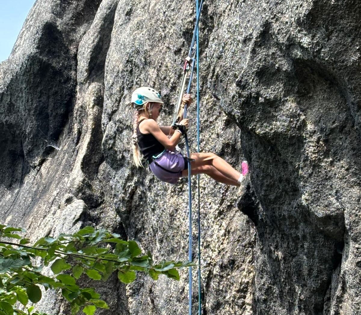 22ff3558-f8bf-4c87-bfbf-8b1b5d91e76c