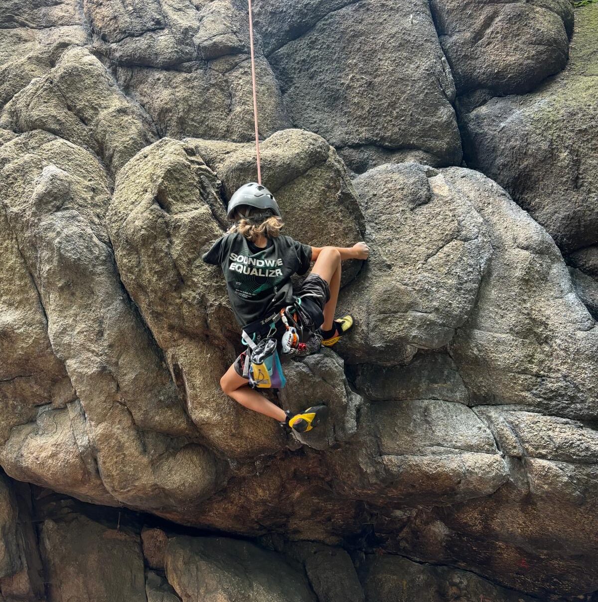 83d6d533-2edd-45f6-8ea6-b51b1799e83b